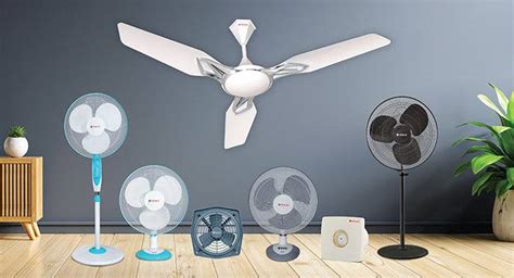 fans only app nude